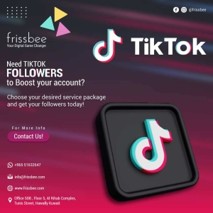 need-tiktok-followers